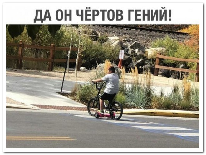 Забавные комментарии из социальных сетей