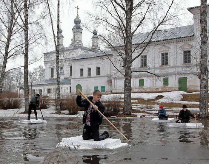 Прикольные картинки