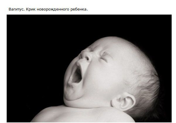 Вещи, о которых вы наверняка не знали
