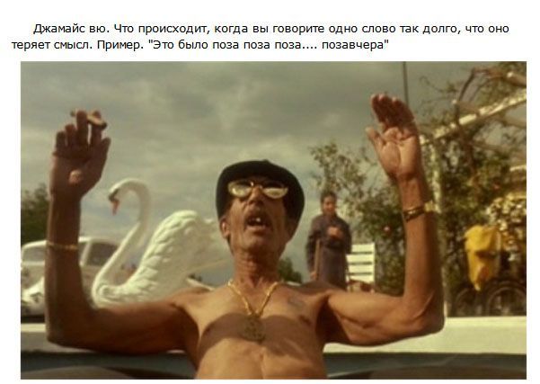 Вещи, о которых вы наверняка не знали