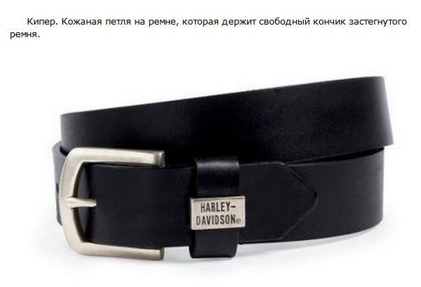 Вещи, о которых вы наверняка не знали
