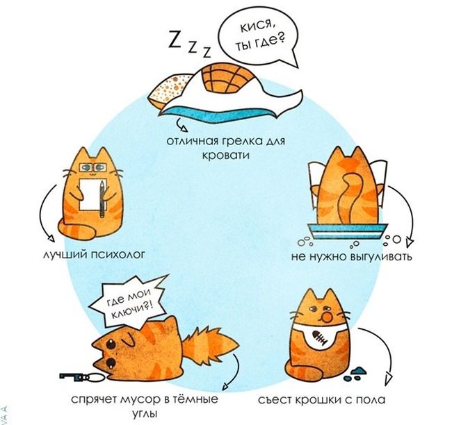 Комиксы 