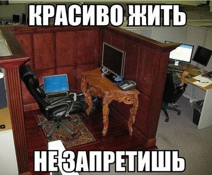 Порция картинок