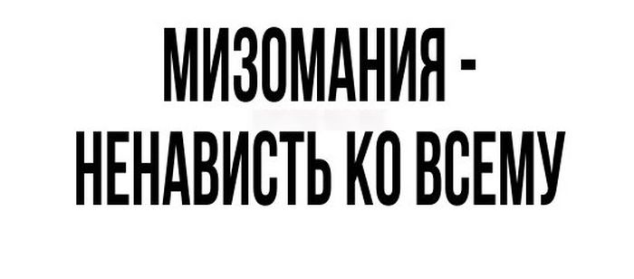 Порция картинок