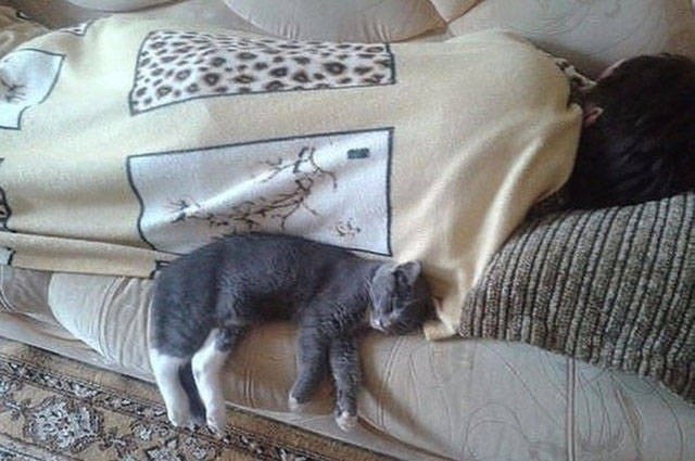 Фотографии, которые говорят больше чем слова