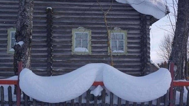 Фотографии, которые говорят больше чем слова