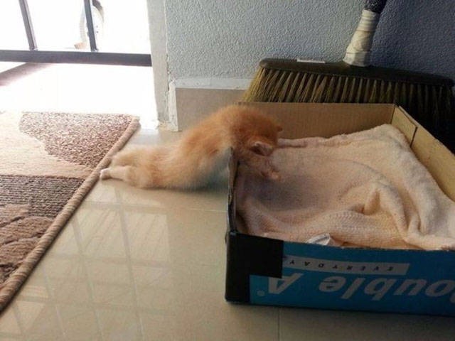 Фотографии, которые говорят больше чем слова