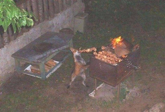 Фотографии, которые говорят больше чем слова