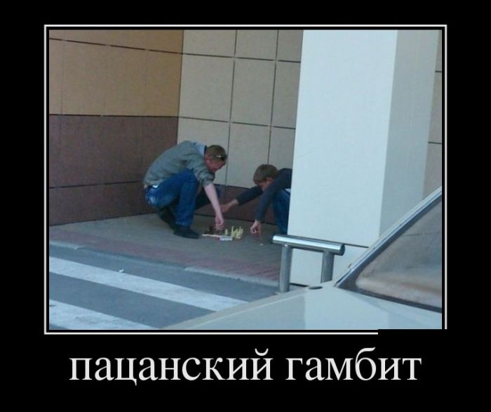 Демотиваторы