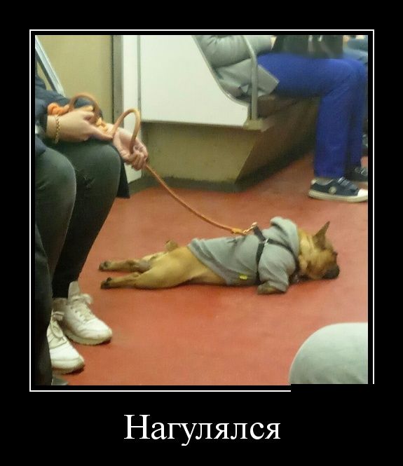 Демотиваторы