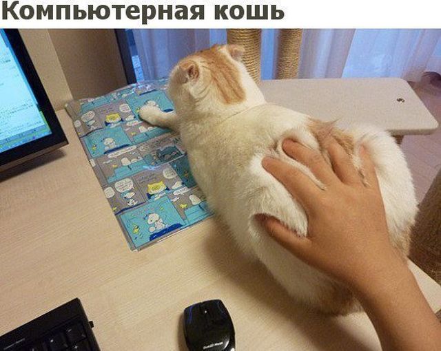 Юмор любителей компьютерных игр