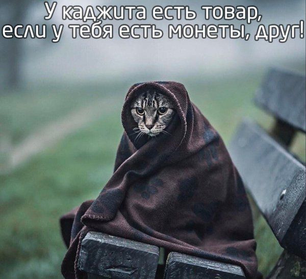 Юмор любителей компьютерных игр