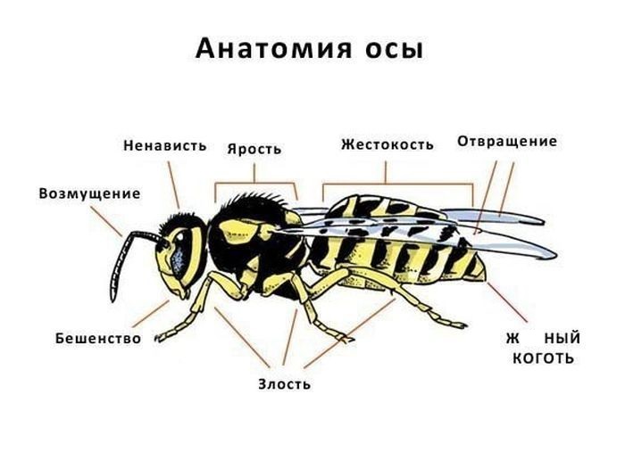 «Купи билетик, угадай циферки!» или пятерка занимательных вещей, которые произойдут с тобой с большей вероятностью, чем выигрыш в лотерею «Купи билетик, угадай циферки!» или пятерка занимательных вещей, которые произойдут с тобой с большей вероятностью, чем выигрыш в лотерею