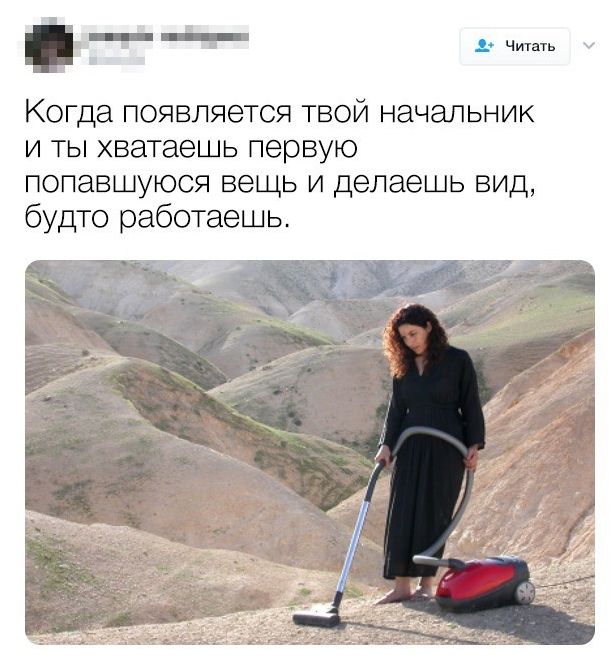 Ироничные твиты офисных работников