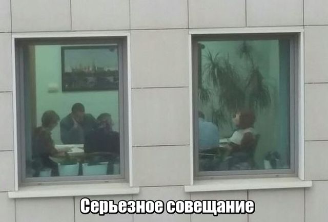 Прикольные картинки