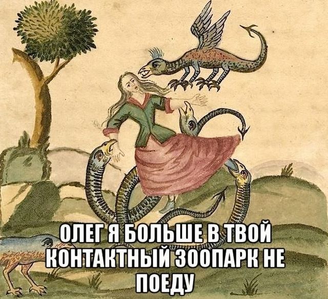 Прикольные картинки