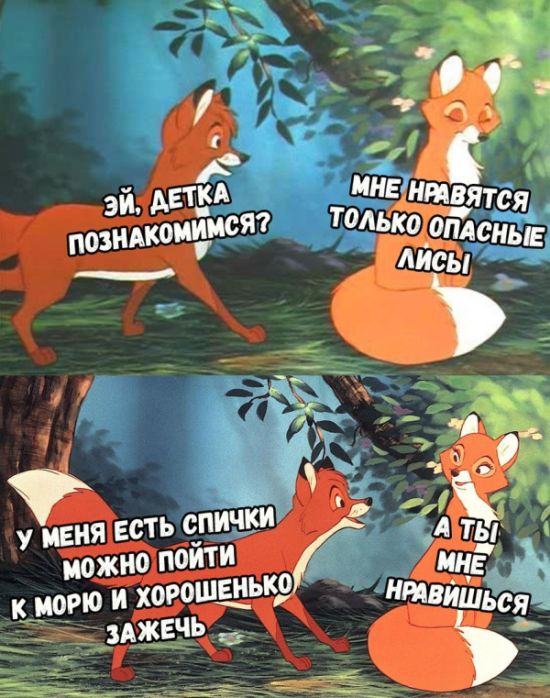 Прикольные картинки