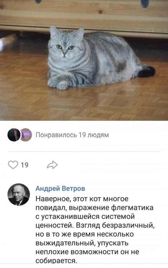 Нестандартный юмор и смешные картинки с просторов сети
