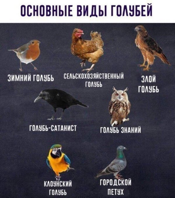 Нестандартный юмор и смешные картинки с просторов сети