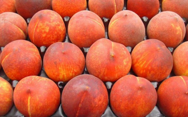 15 продуктов, которые можно есть даже на ночь 15 продуктов, которые можно есть даже на ночь