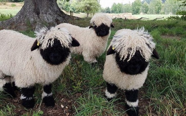Необычные вещи и красивые фотографии