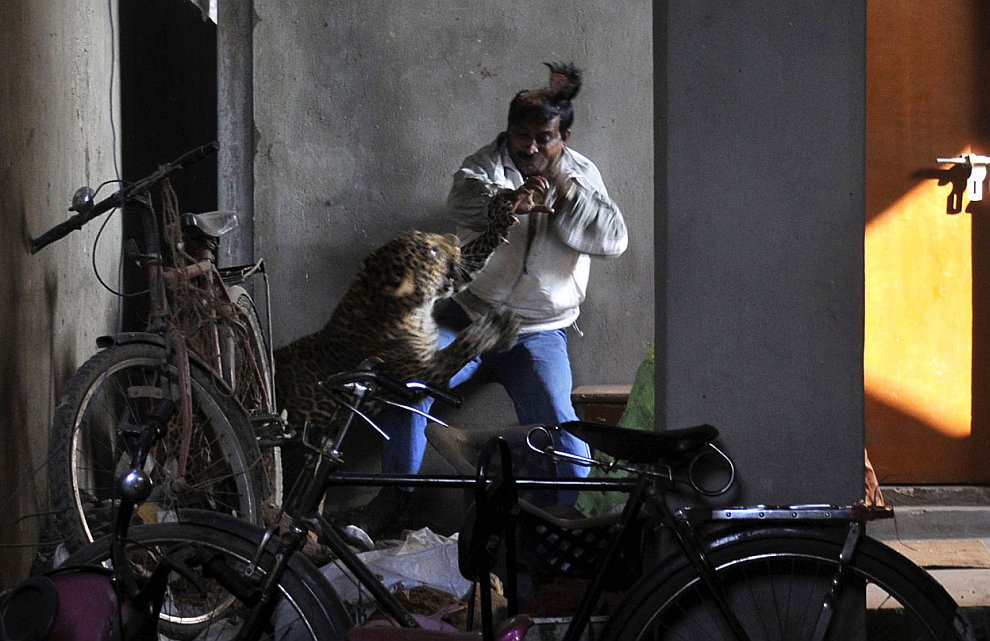 2012 год в фотографиях. Часть 1
