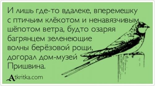 Лучшие «аткрытки» года