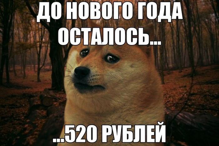 Прикольные картинки (93 фото)
