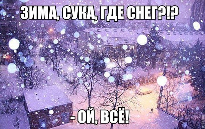 Прикольные картинки (93 фото)