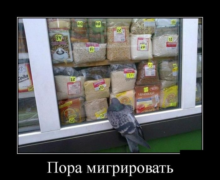 Демотиваторы