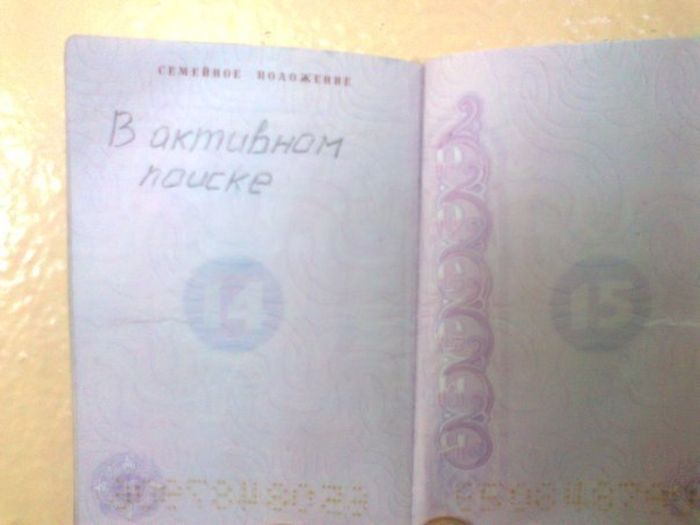 Прикольные картинки