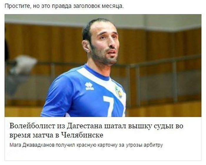 Прикольные картинки