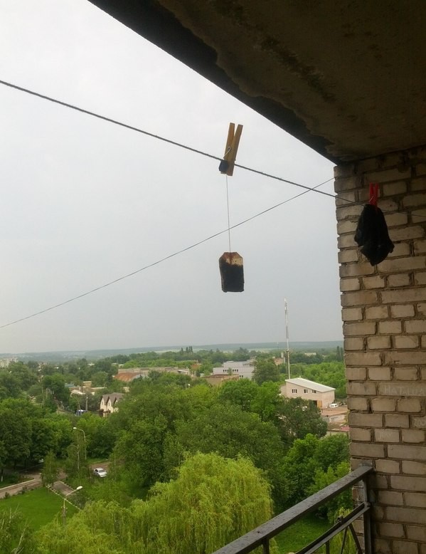 Эти люди экономят на всем!