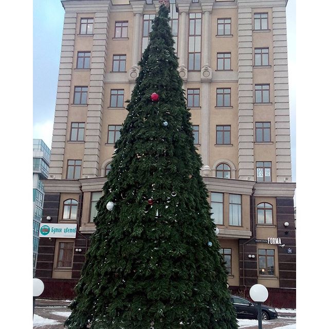 Эти люди экономят на всем!