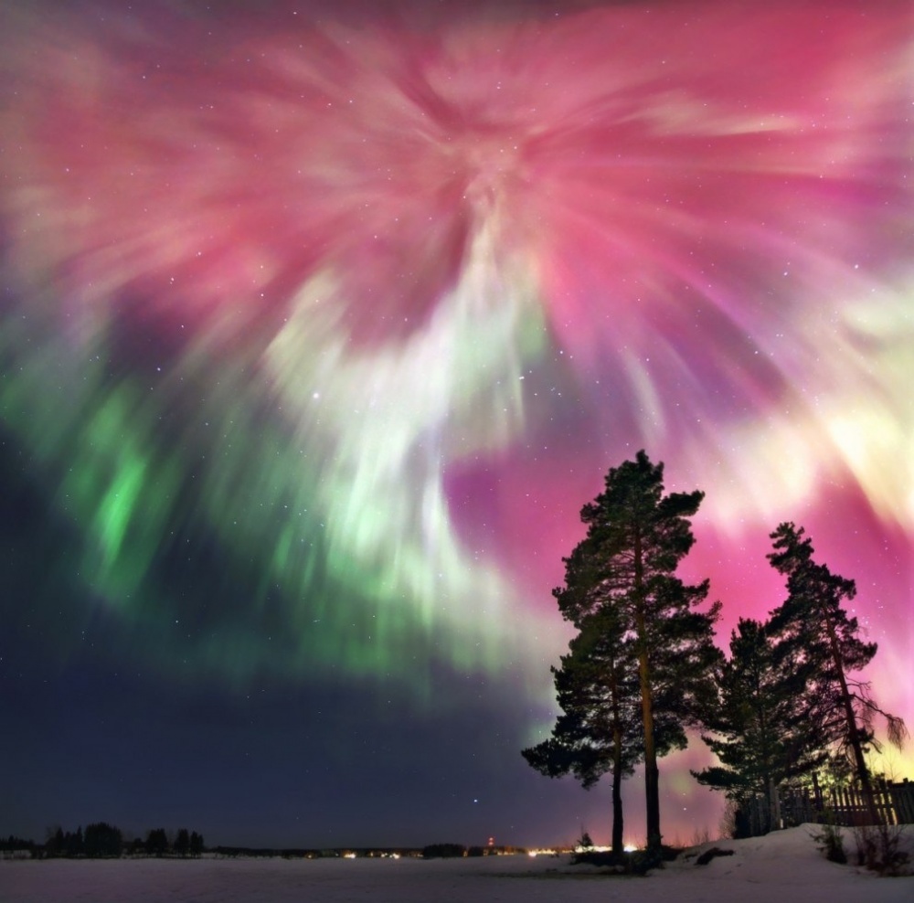 20 лучших снимков National Geographic за год