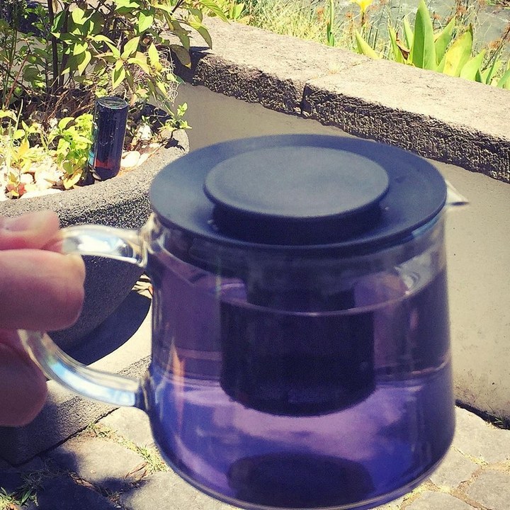 Любопытные научные факты о нашей жизни