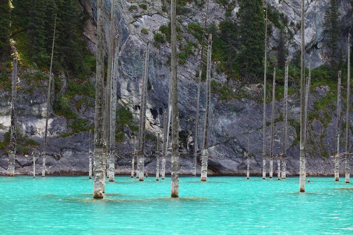 Озеро Каинды - затонувший лес в Казахстане Озеро Каинды - затонувший лес в Казахстане
