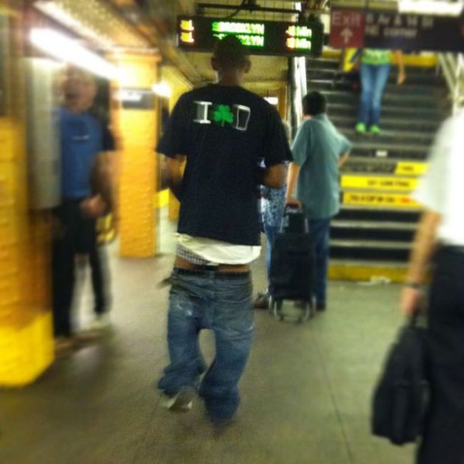 Кого можно встретить в общественном транспорте