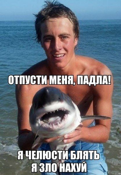 Прикольные картинки (78 фото)