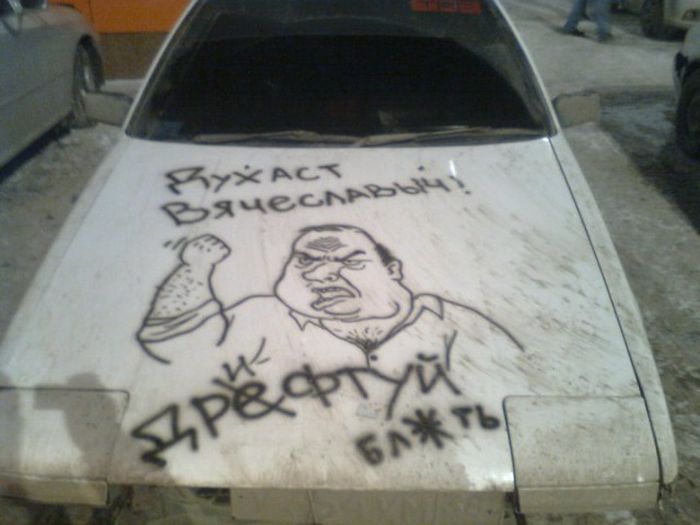 Прикольные картинки