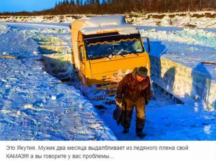 Прикольные картинки