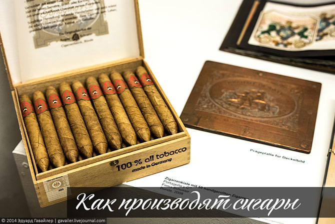 Как производят сигары