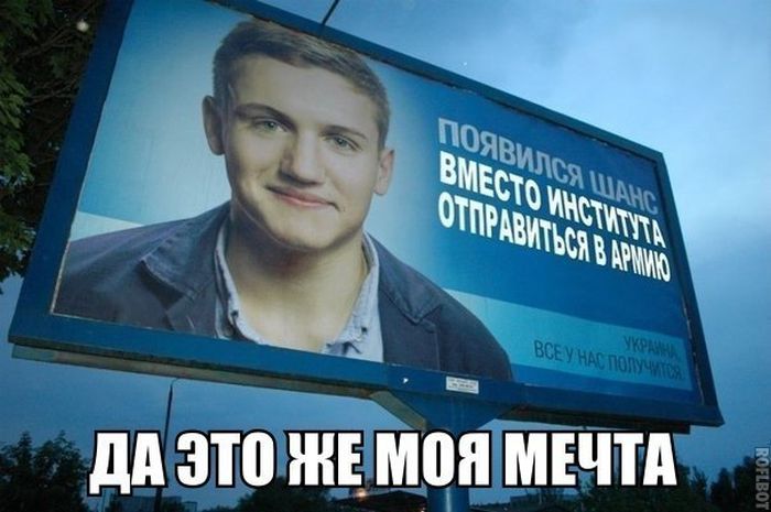 Порция картинок