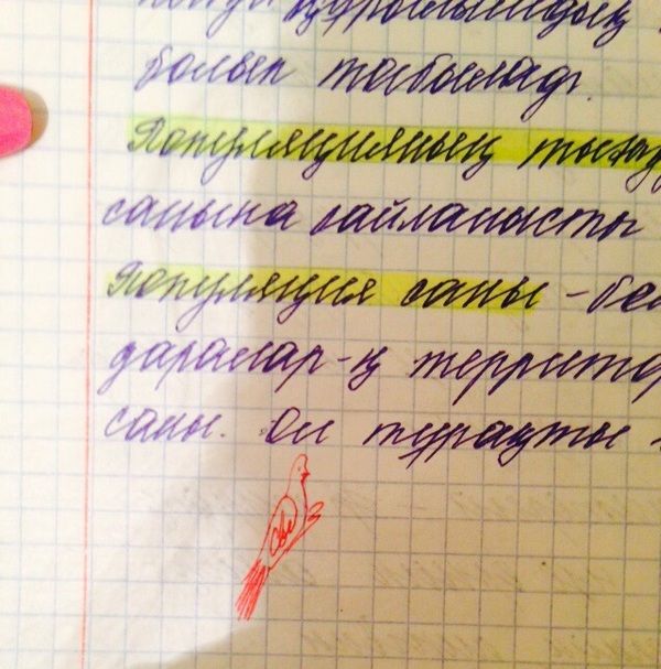 Порция картинок