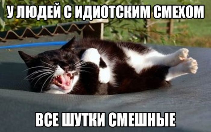 Порция картинок
