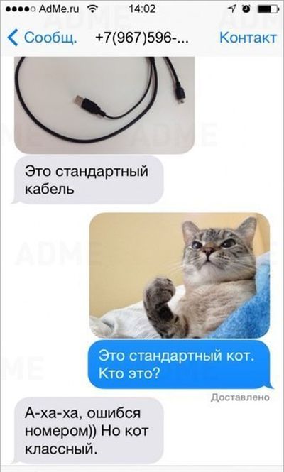 Порция картинок