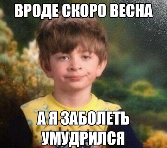 Порция картинок