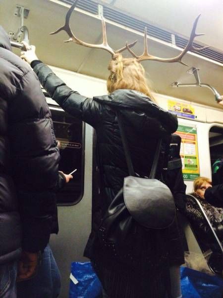Прикольные картинки
