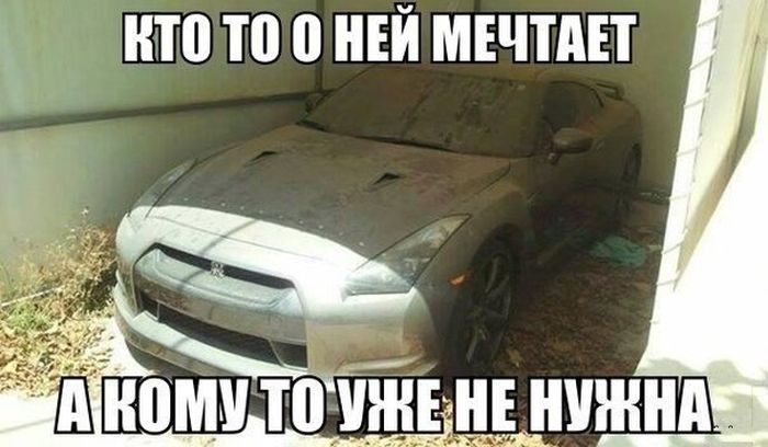 Прикольные картинки
