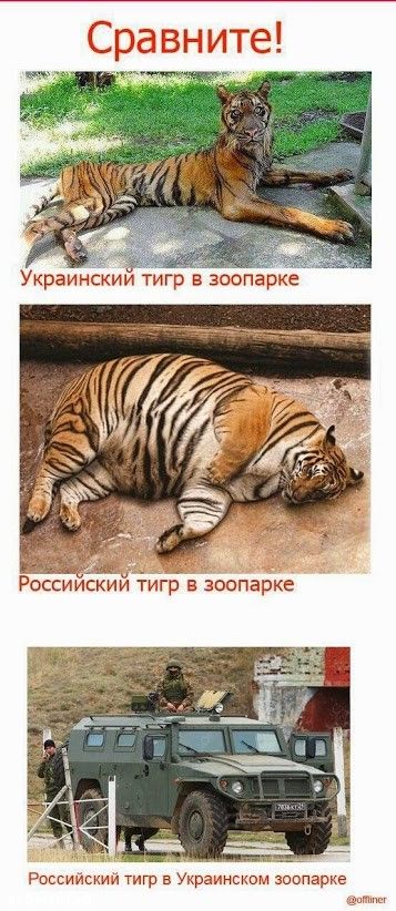 Народные маразмы (35 фото)